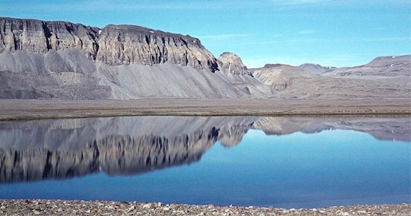 Fósiles anteriores a las Lulitas de Burgess encontrados en Groenlandia