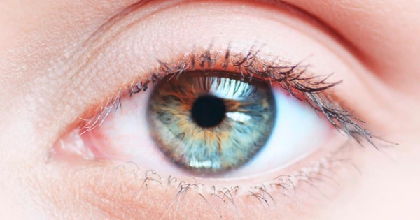 ¿Es el ojo humano realmente una evidencia contra el diseño inteligente?
