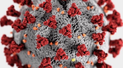 La evolución presupone un diseño inteligente: el caso del coronavirus