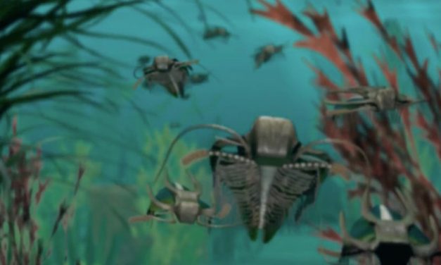 ¿Grandeza en las extinciones?