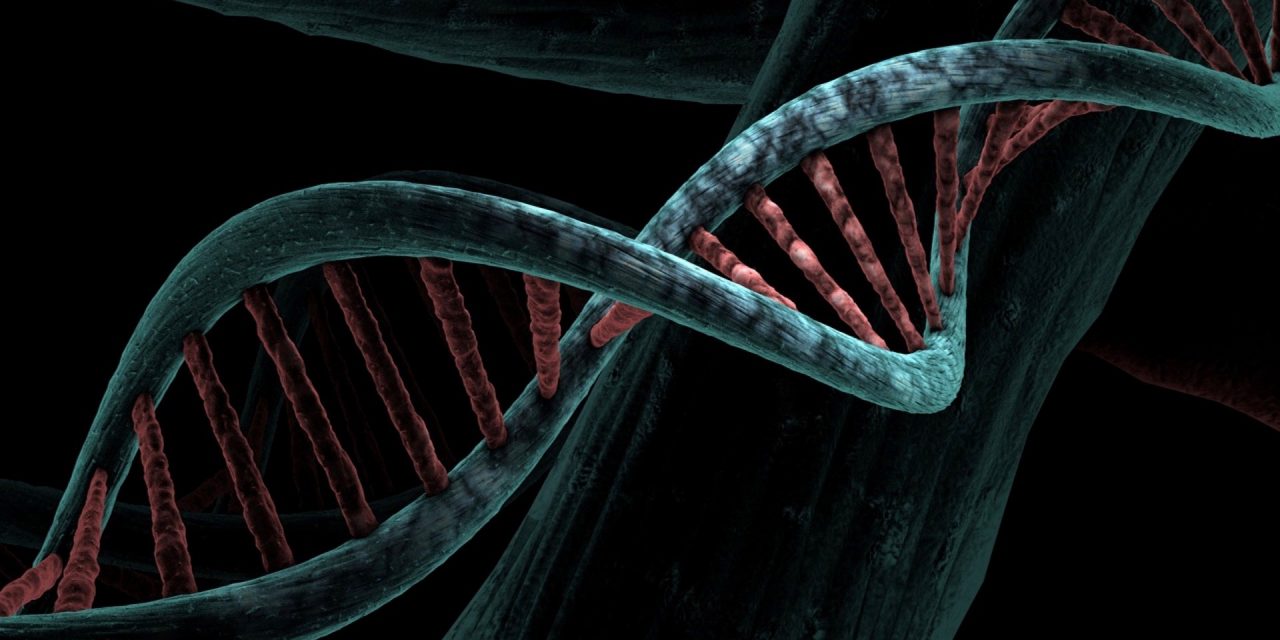 Caltech encuentra un papel asombroso para el ADN no codificante