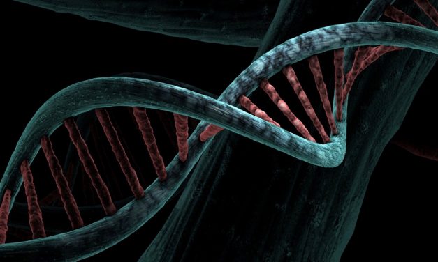 Caltech encuentra un papel asombroso para el ADN no codificante