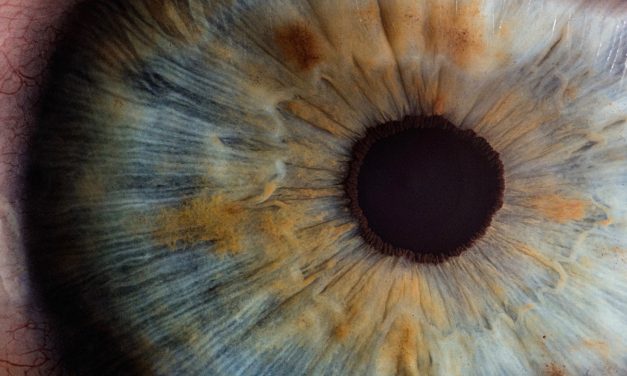 El ojo: un ejemplo clásico de diseño natural