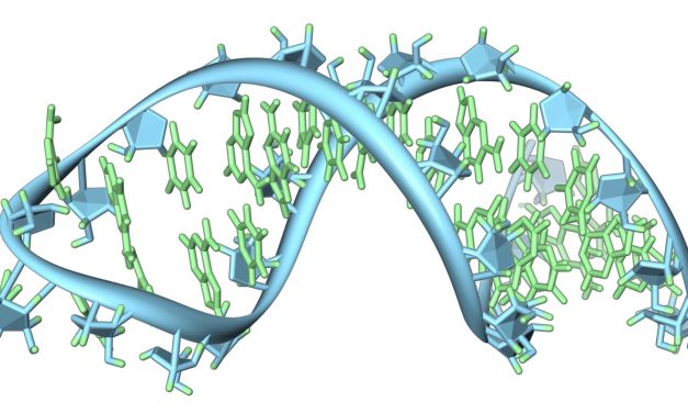 Nuevo artículo pretende ayudar a explicar el origen del código genético