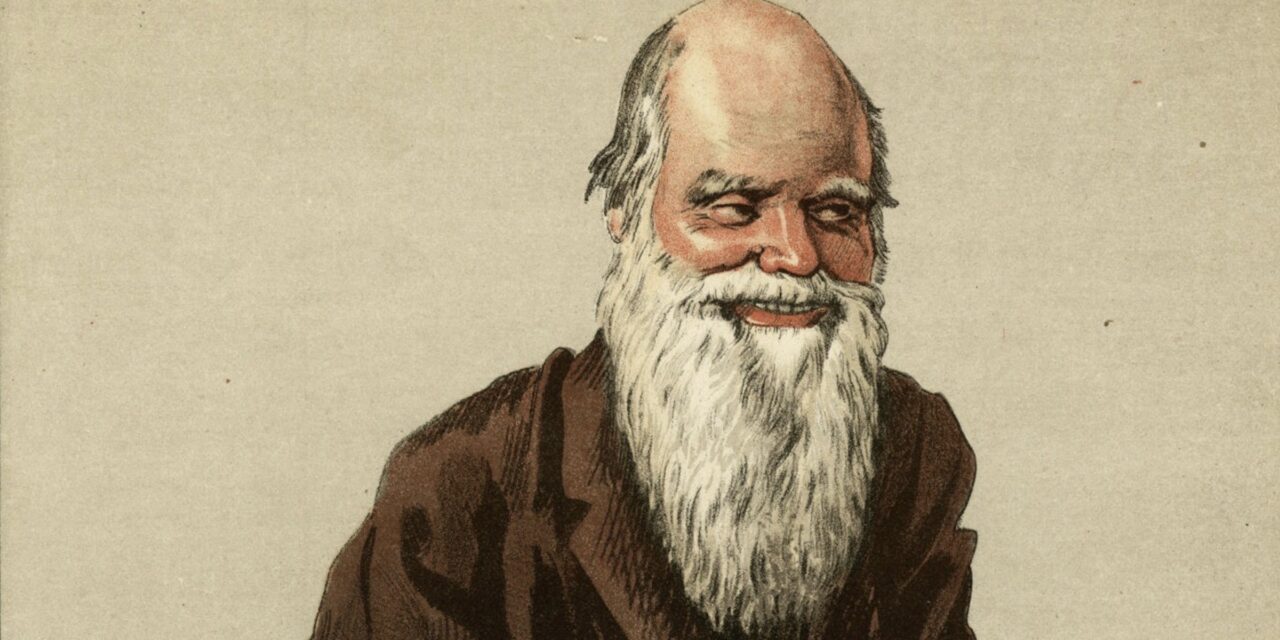 Errores de categoría de Darwin y sus consecuencias