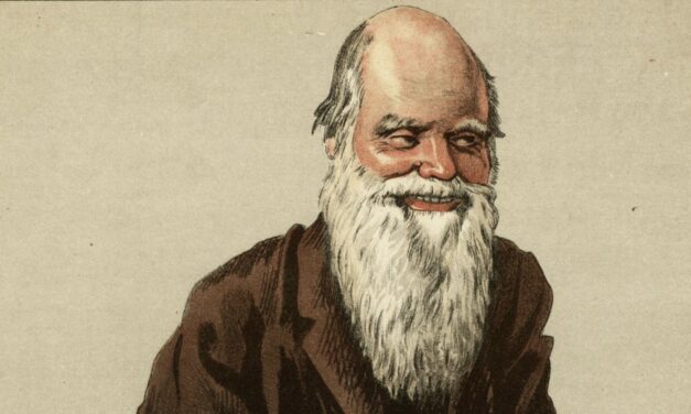 Errores de categoría de Darwin y sus consecuencias