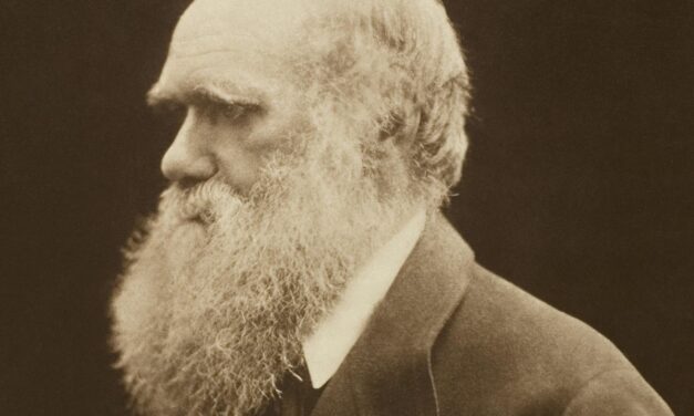 ¿El darwinismo supera las pruebas de una teoría verdadera?