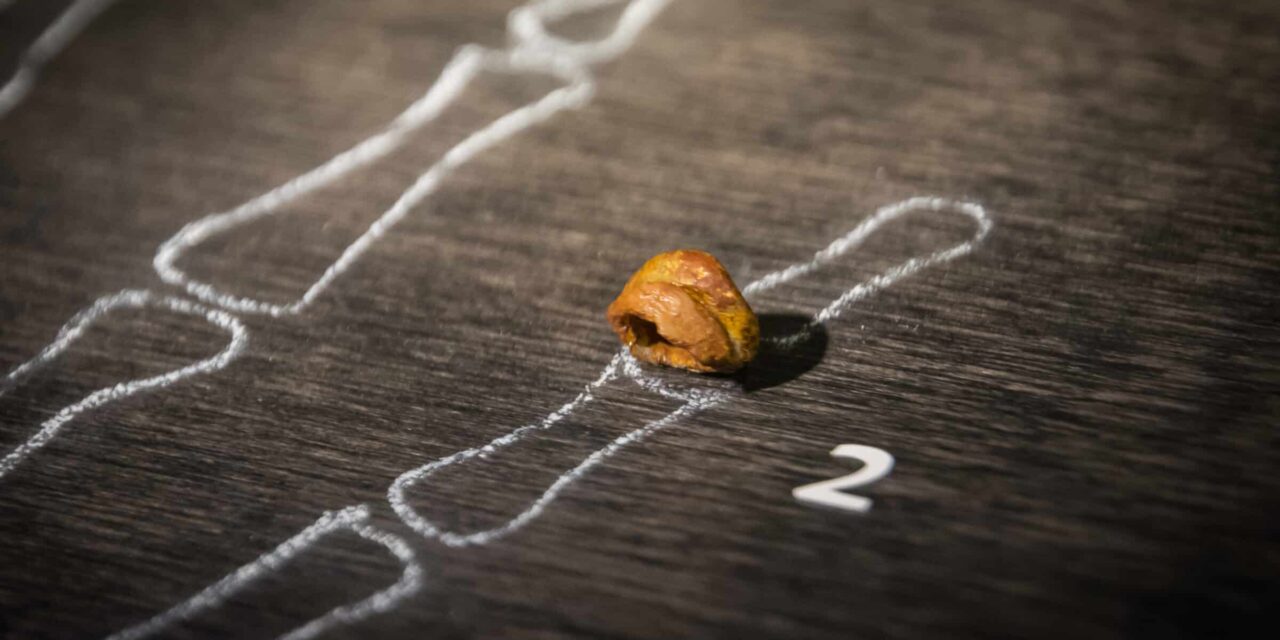 ¿Qué es el ADN denisovano?