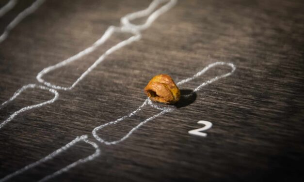 ¿Qué es el ADN denisovano?