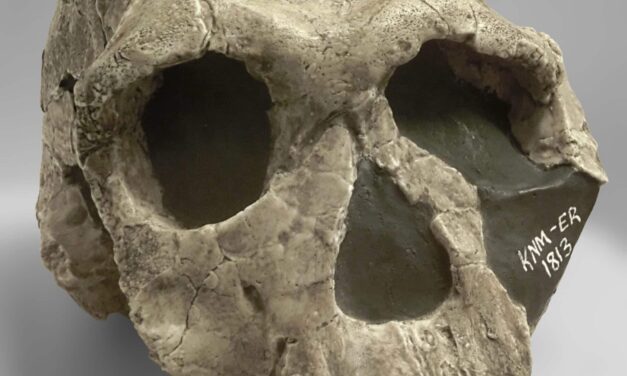 El argumento más sólido a favor del diseño inteligente es también el más simple