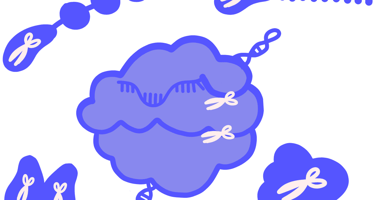 Precisión en la replicación del ADN: el papel de la ADN polimerasa