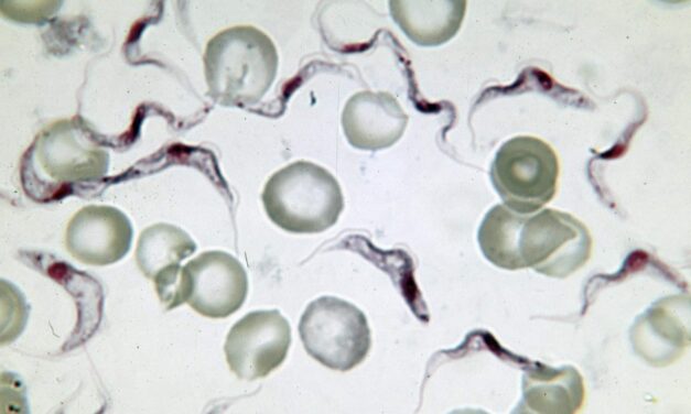 ¿Podrían las mutaciones genéticas no ser aleatorias?