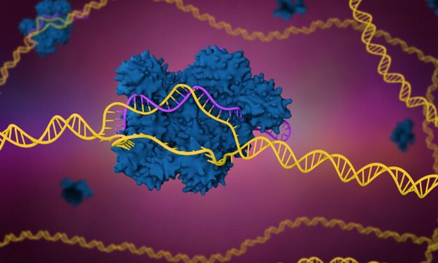 La diversidad de CRISPR explicada: por qué la edición del genoma desafía una clasificación simple