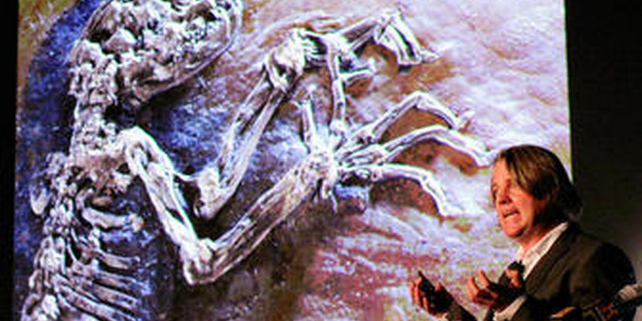 Los críticos de Ida desmienten las afirmaciones de que el fósil sea un eslabón en la evolución humana