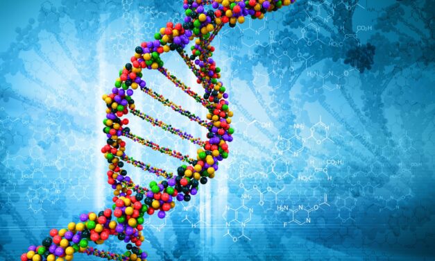 Cambio de paradigma en los elementos transponibles: del ADN basura a actores genómicos funcionales